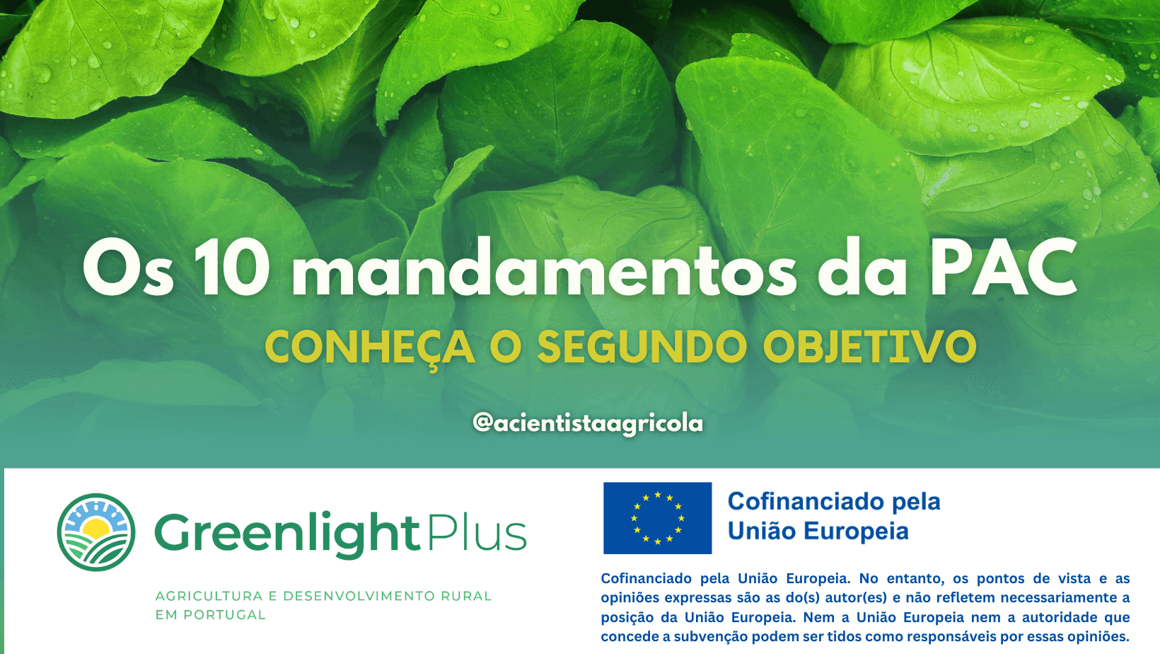 “Os 10 mandamentos da PAC”: conheça o segundo mandamento