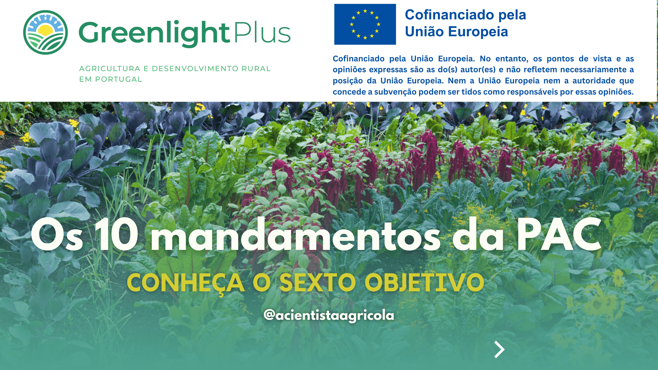 Conheça o sexto mandamento da nova PAC