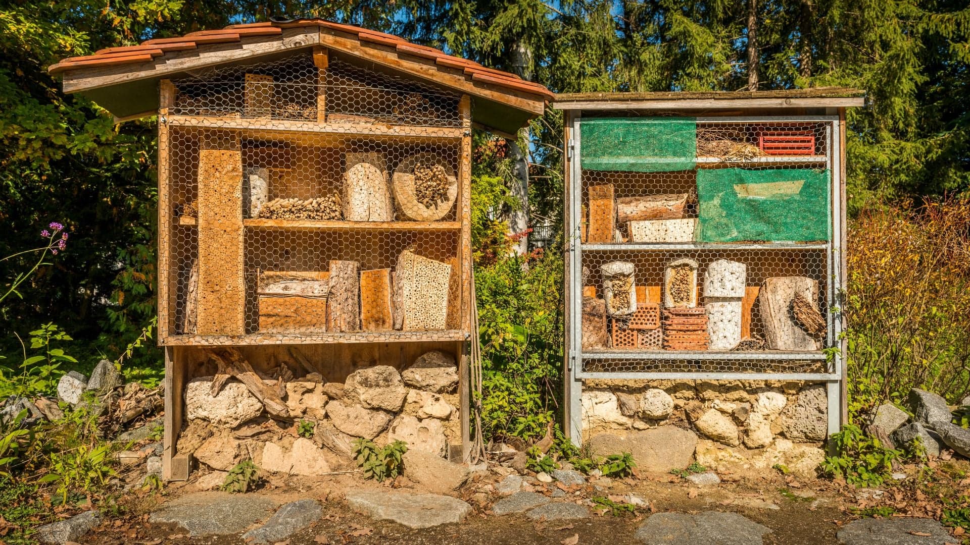 Abrigos para polinizadores: exemplos que deve considerar na sua horta e jardim