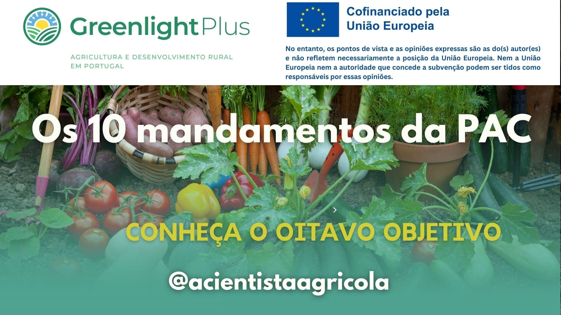 Conheça o oitavo mandamento da nova PAC