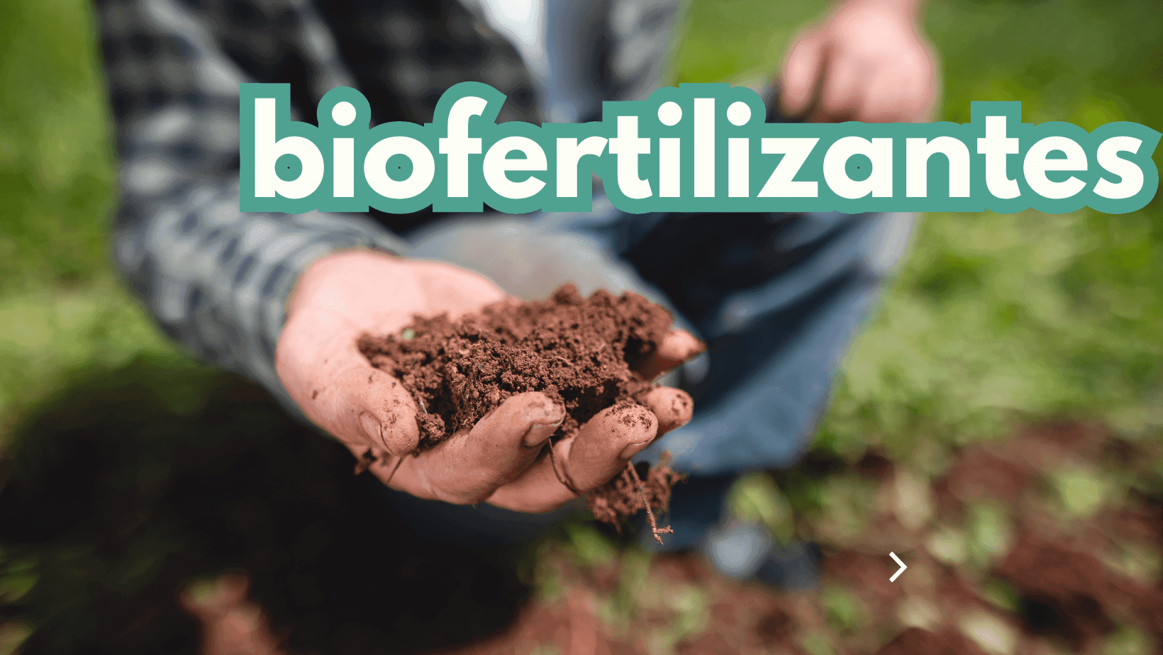 Saiba como transformar o seu solo e aumentar a sua colheita com biofertilizantes