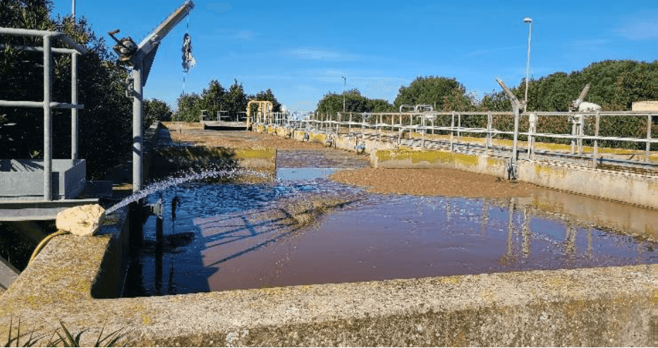 Projeto cria primeira quinta na Europa que utiliza águas residuais para a criação de peixe e vegetais