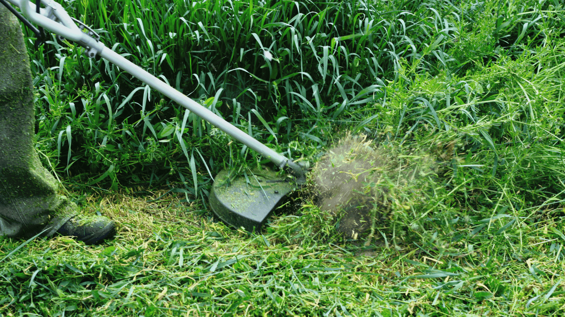Como combater o crescimento selvagem da vegetação e fazer a limpeza dos terrenos