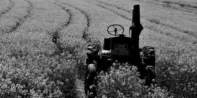 Direcções Regionais de Agricultura acabam a 1 de Junho de 2023