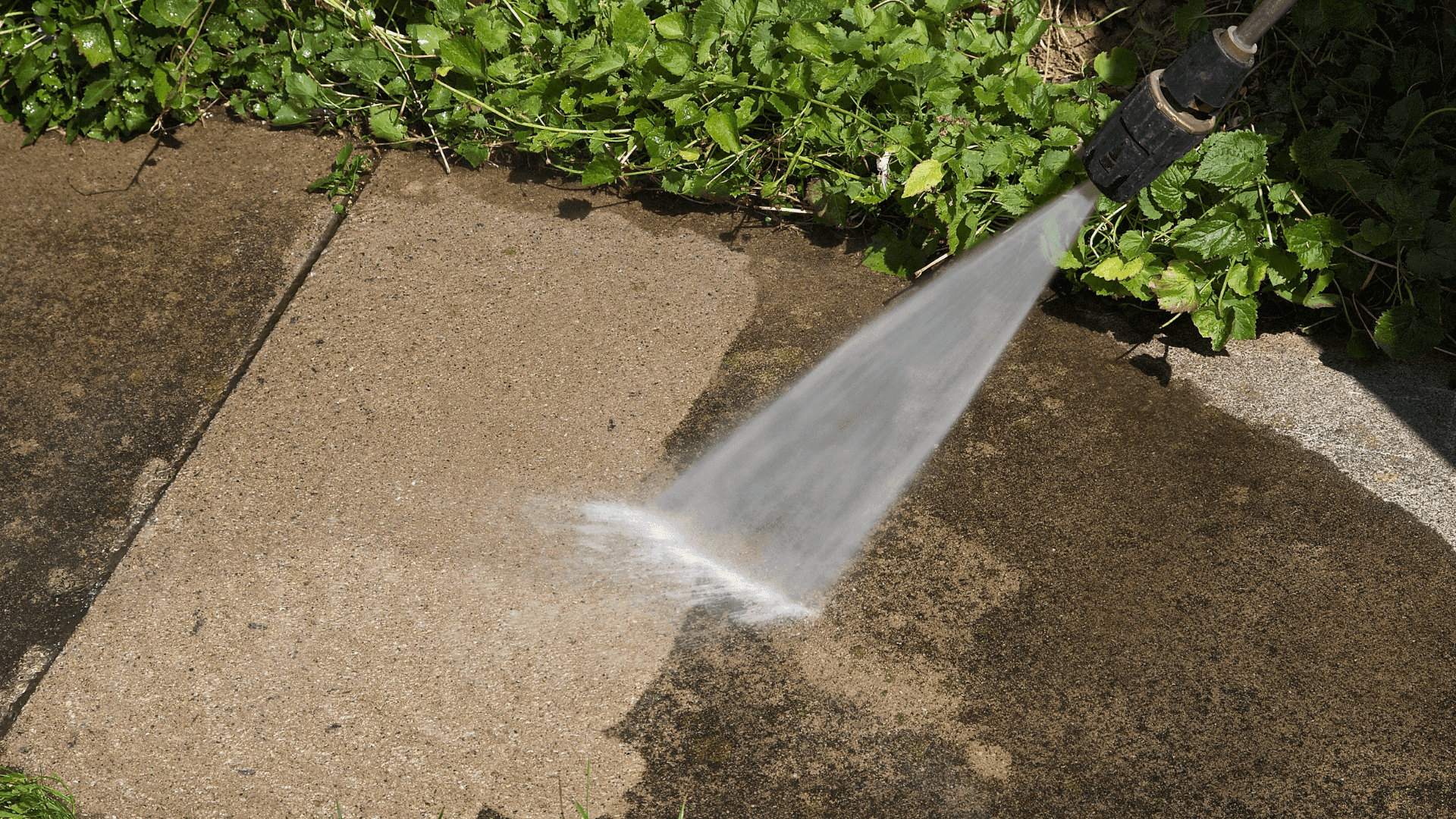 Limpeza e cuidados essenciais para desfrutar ao máximo do seu jardim