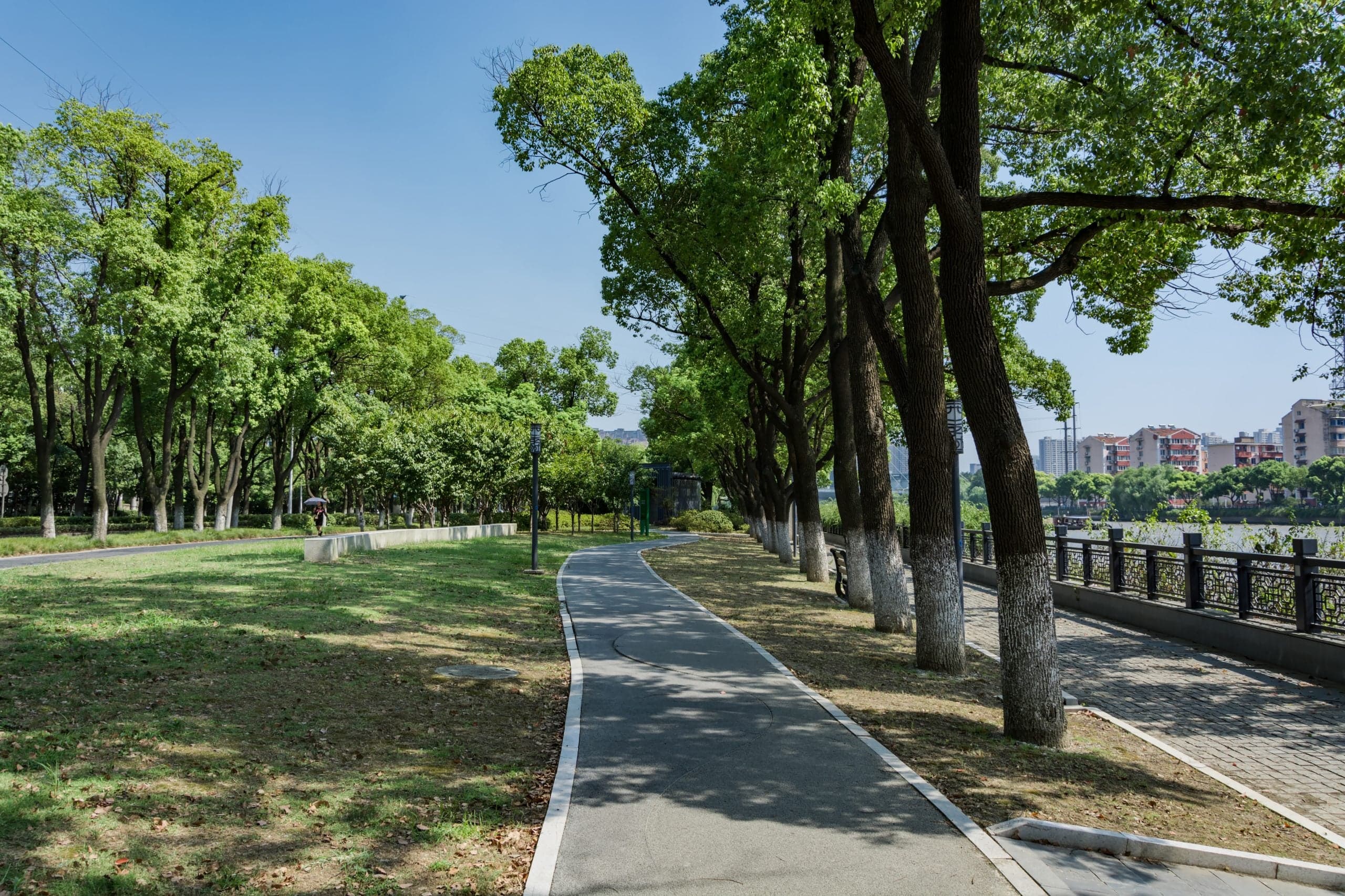 Como tornar os arbustos mais resistentes em espaços urbanos