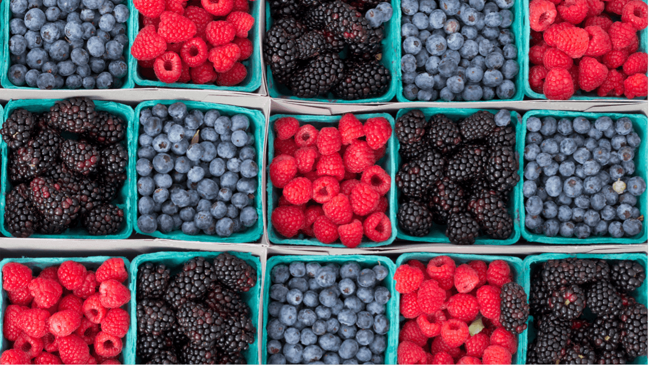 Guia Completo para Iniciantes: Como cultivar Frutos Vermelhos