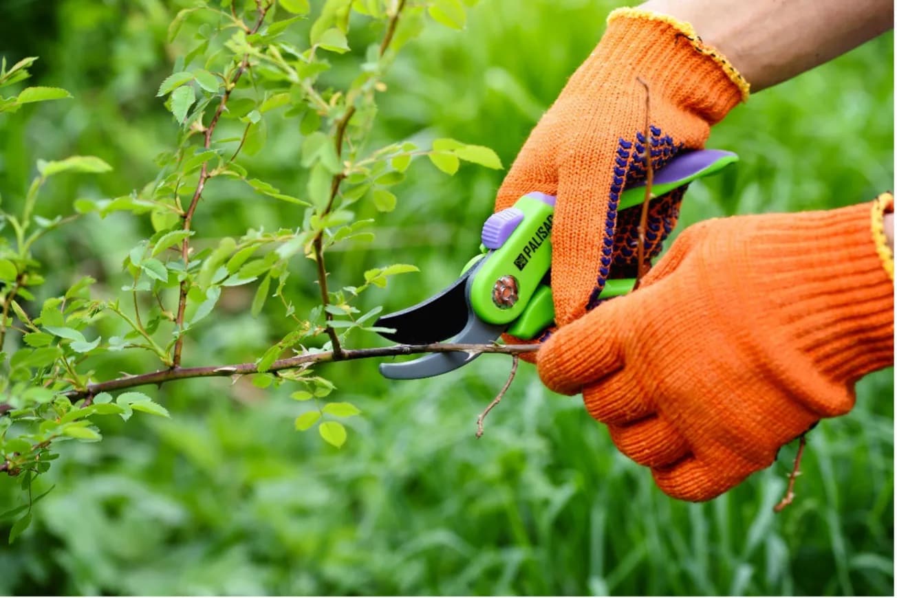 Como preparar o meu jardim para a primavera?