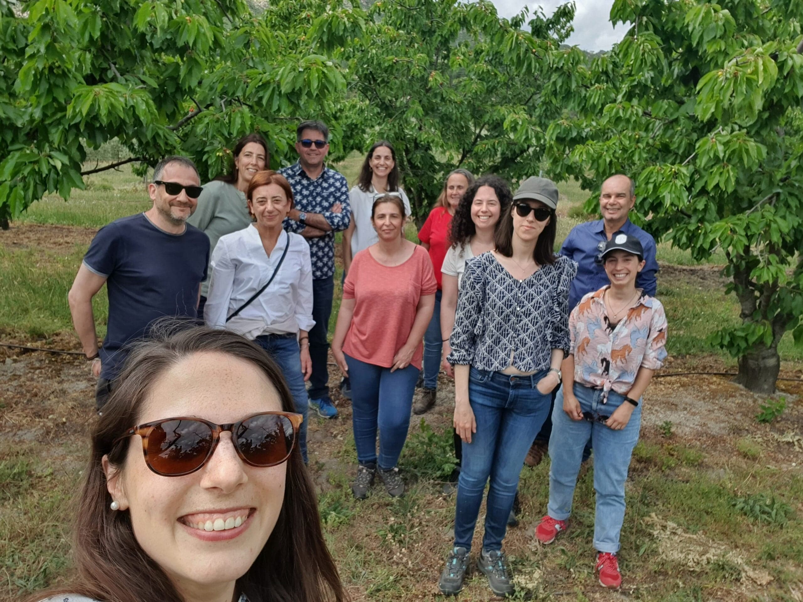 Estudo identifica pela primeira vez estirpes de bactéria que afeta gravemente várias culturas agrícolas em Portugal