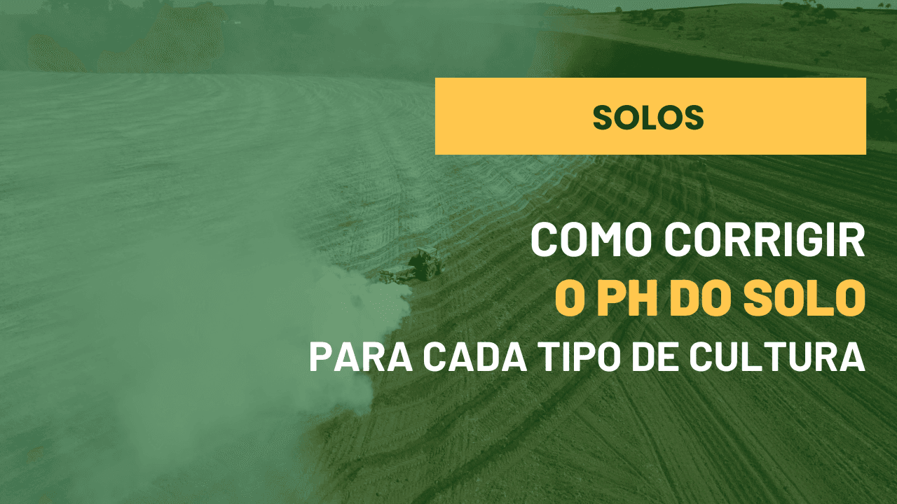 Como Corrigir o pH do Solo para Cada Tipo de Planta