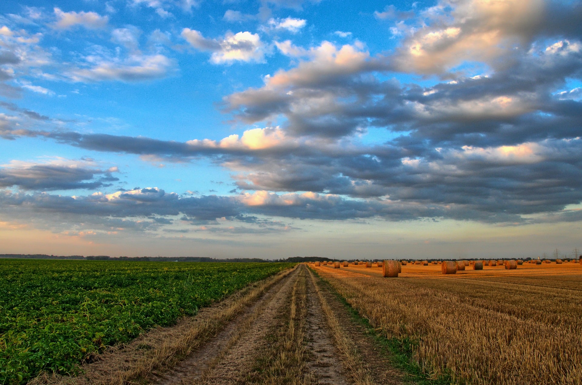 trabalhar em Portugal: agronomia