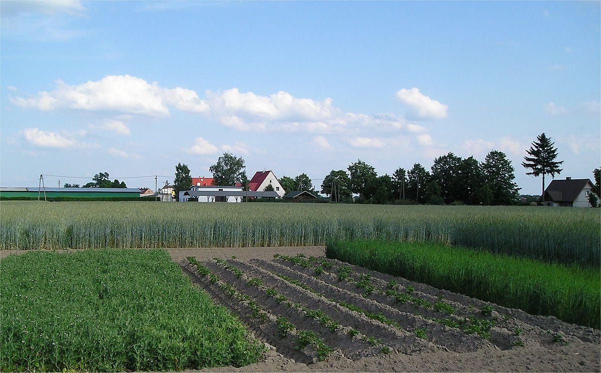 aumentar a produtividade agrícola