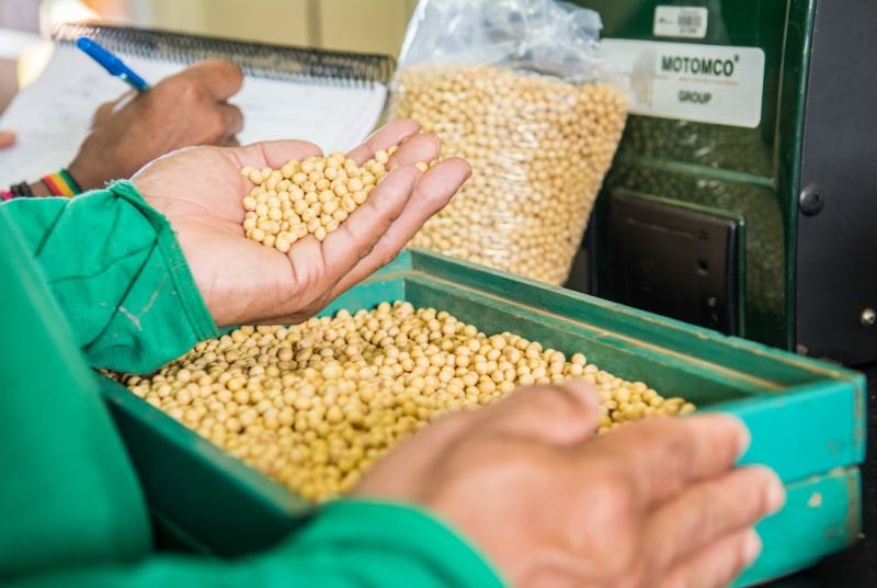 produtividade agrícola o que é
