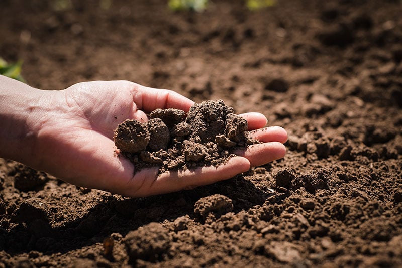 produtividade agrícola por hectare
