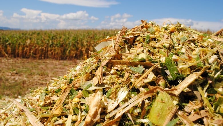 produtividade agrícola pdf
