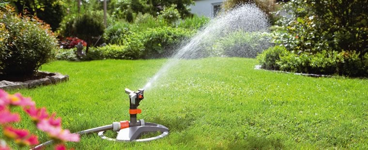 como proteger as plantas do solo