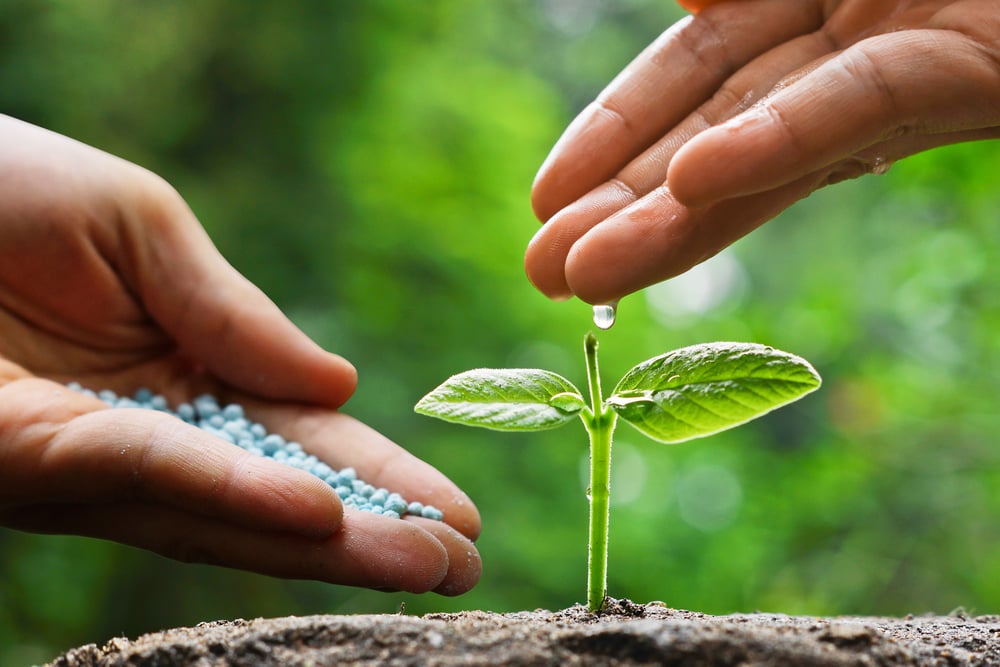 deficiência de nutrientes nas plantas pdf