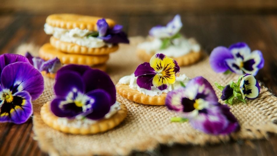 flores comestiveis jumbo
