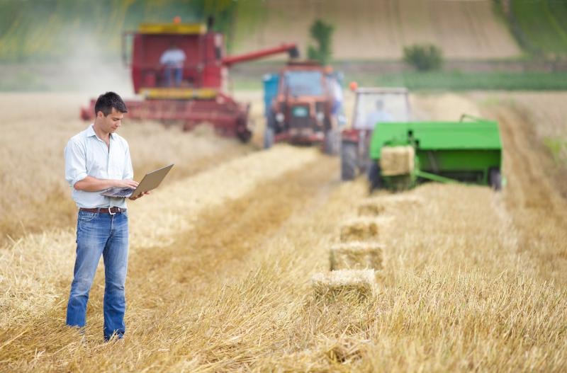 gestão agrícola