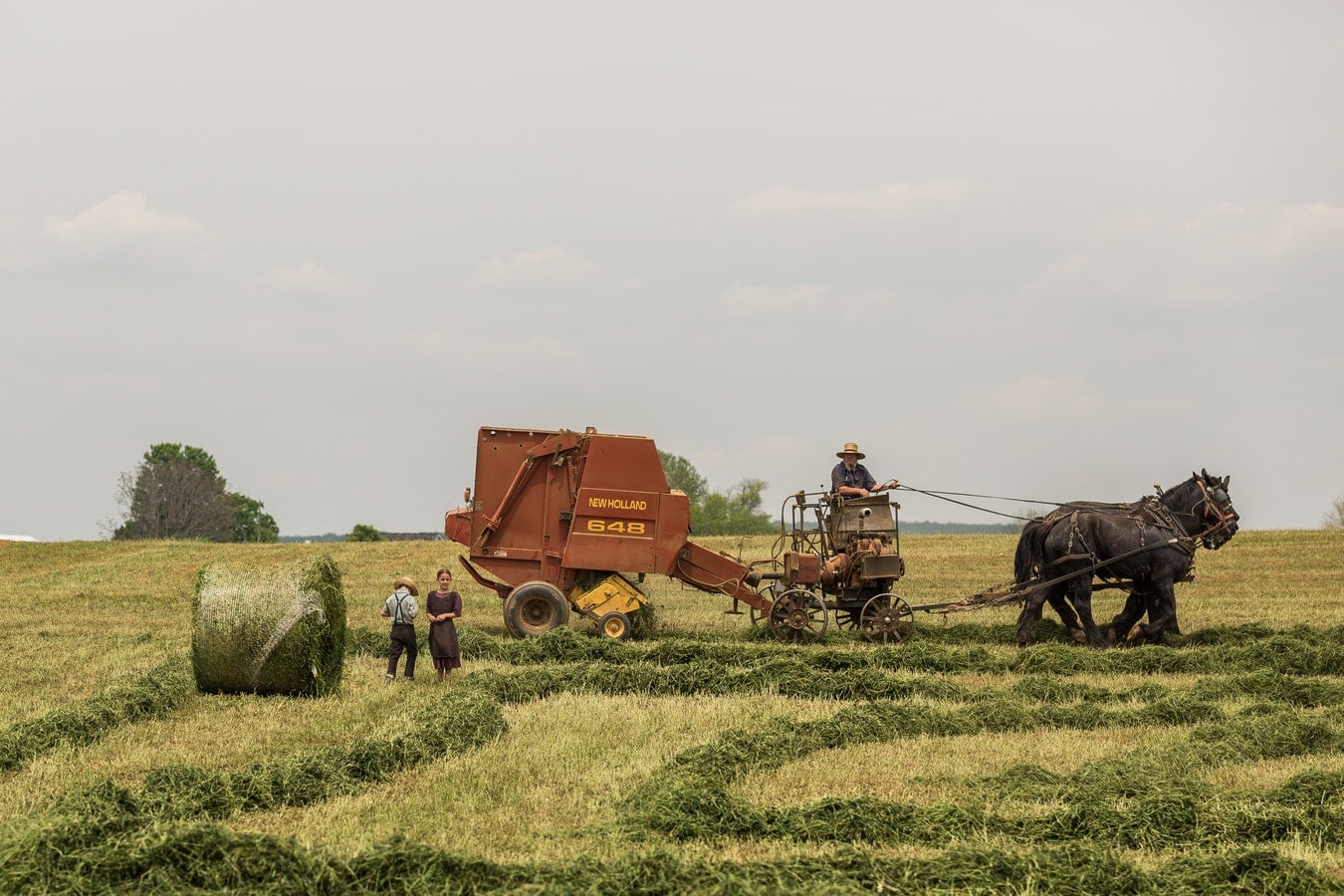 empresa agrícola familiar