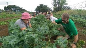 green care farms