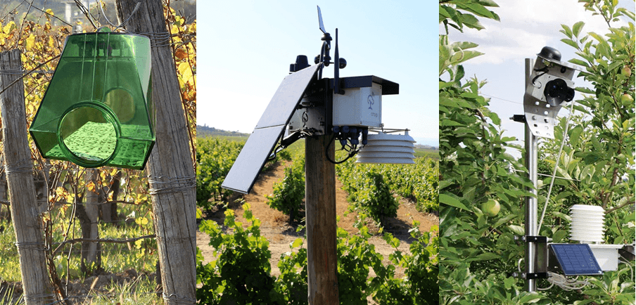 sistema operativo da agricultura wisecrop