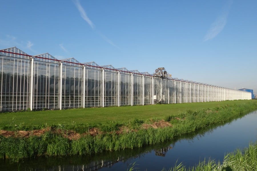 tipos de estufas para hortaliças estufas multinave