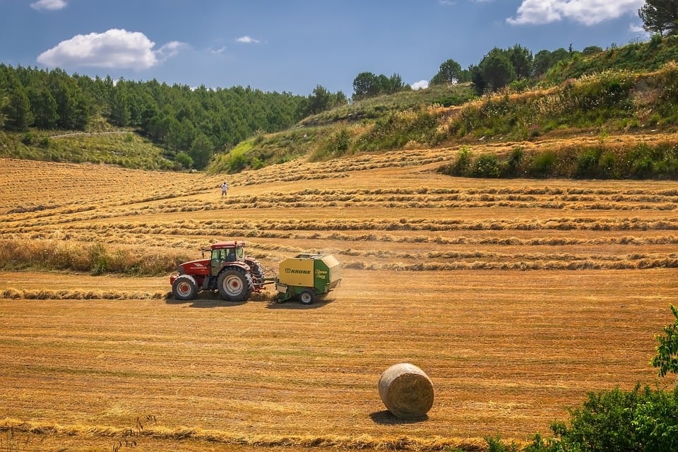rastreabilidade dos alimentos