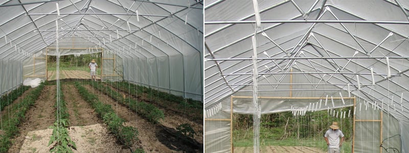 tipos de estufas para plantas