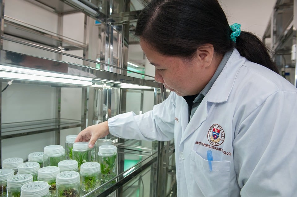 biotecnologia agrícola