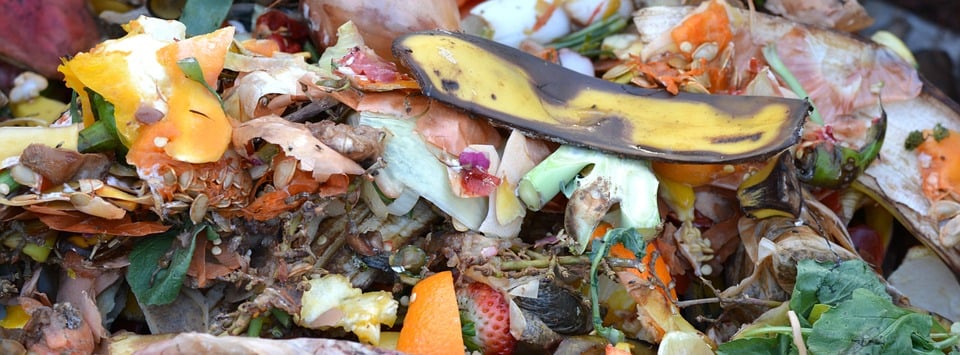 compostagem lipor