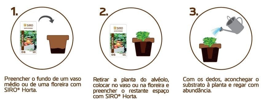 como fazer horta em vasos