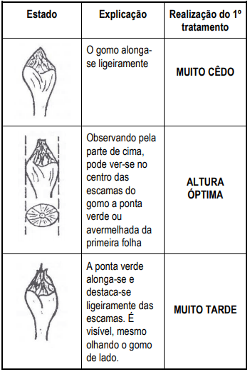 quando tratar a lepra do pessegueiro