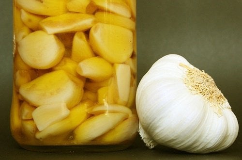 aprenda-a-eliminar-as-formigas-da-sua-horta