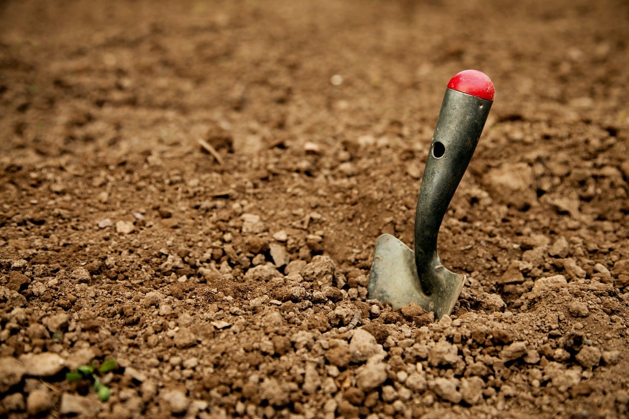 apoios à agricultura