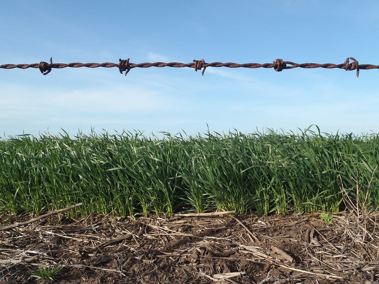 apoios à agricultura