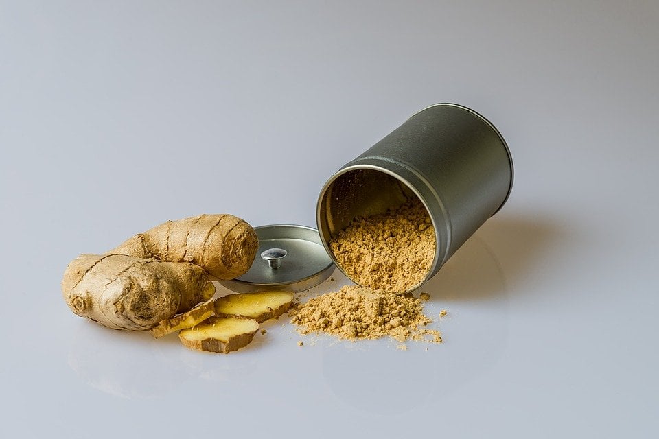 como plantar gengibre em casa