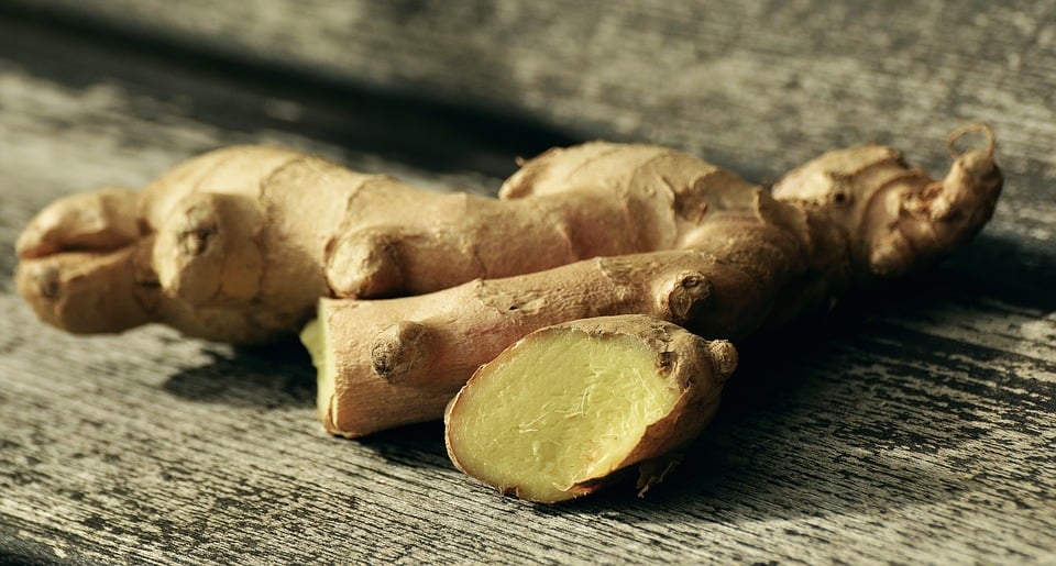 como plantar gengibre em casa