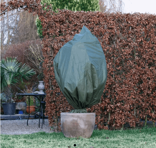 geada jardim