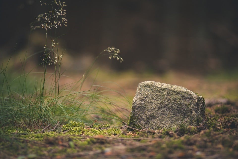 fertilidade de um terreno agrícola