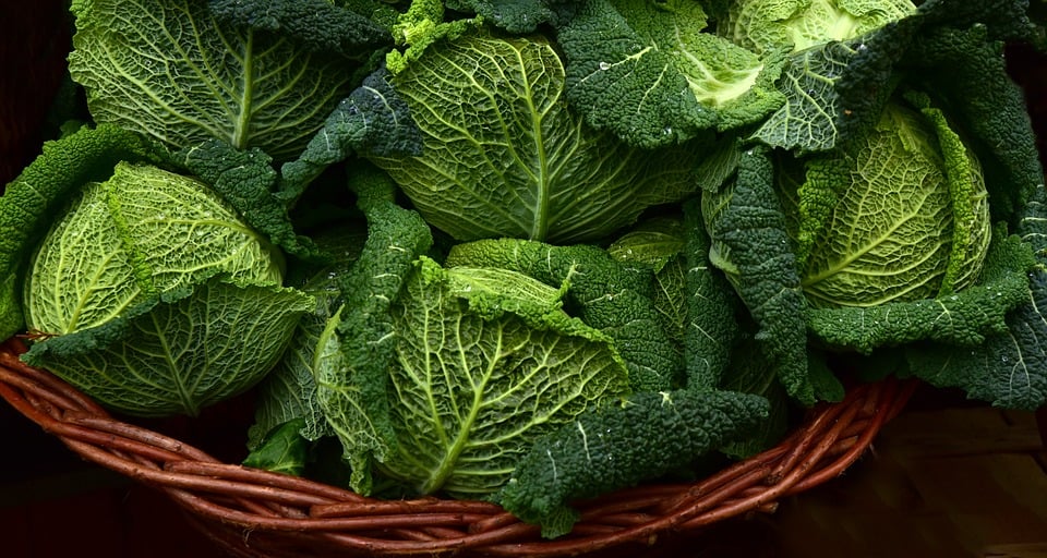 como fazer uma horta urbana