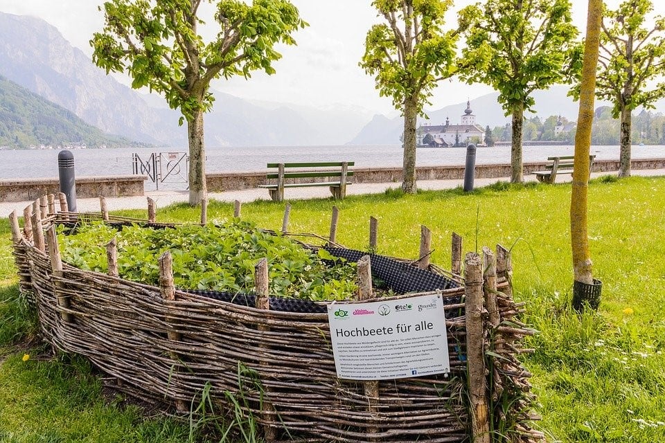 como fazer horta urbana