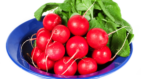 como cultivar rabanetes