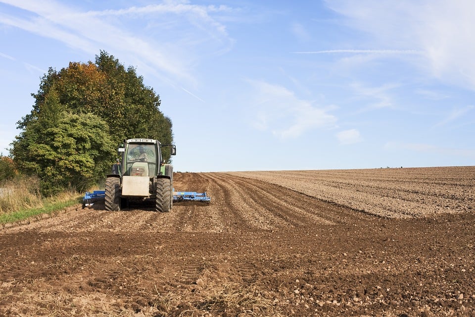 terreno agrícola
