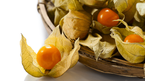 como cultivar fisális