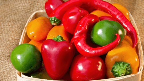 como cultivar pimentos