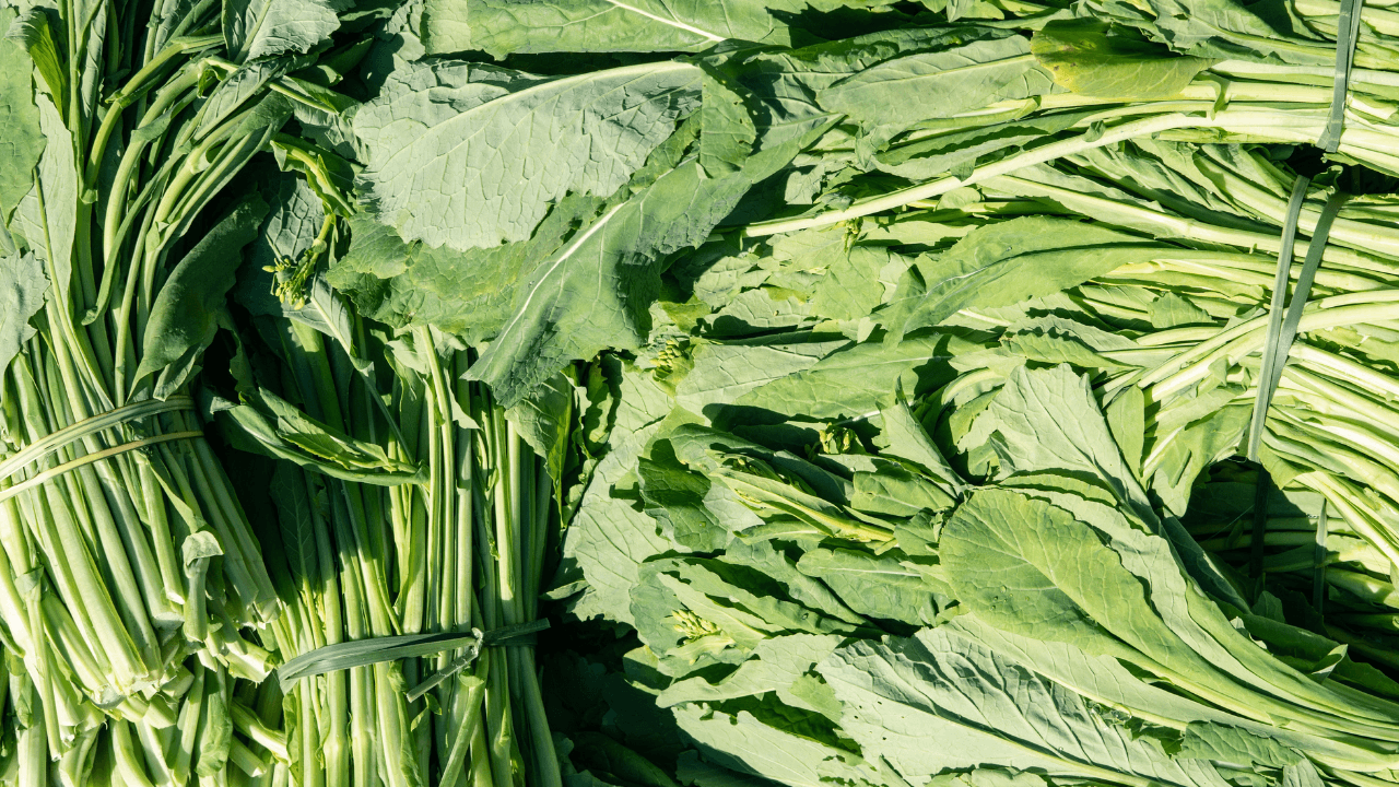cultivar grelos