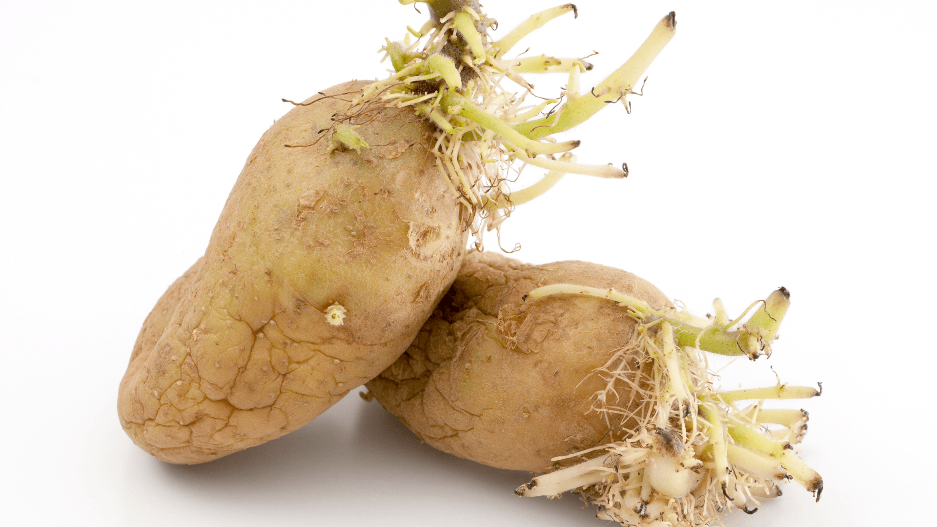 batatas greladas